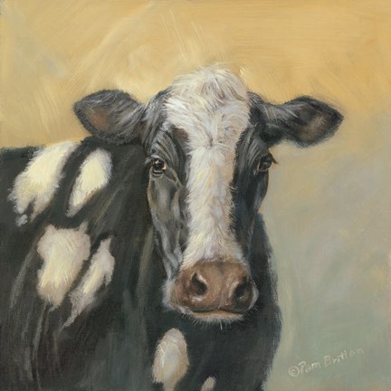 Framed Pretty Cow Print