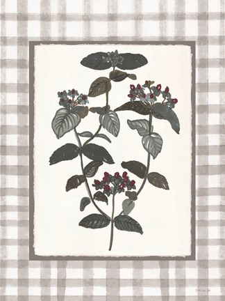 Framed Floral Medley 1 Print