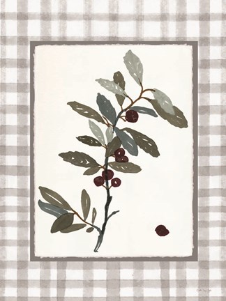 Framed Floral Medley 3 Print