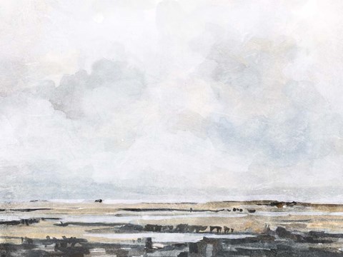 Framed Ocean Inlet I Print