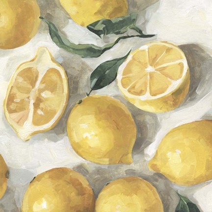 Framed Fresh Lemons II Print