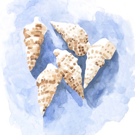 Framed Shell Impressions II Print