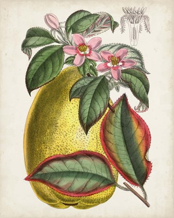 Framed Delicate Tropicals V Print