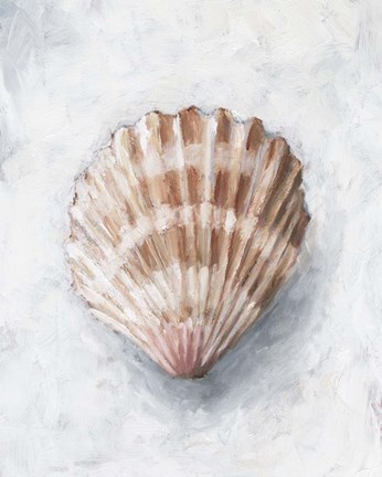 Framed White Shell Study IV Print