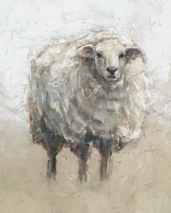 Framed Fluffy Sheep II Print