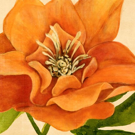 Framed Copper Petals II Print