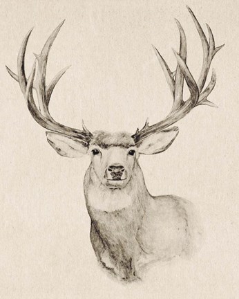 Framed Natural Buck II Print