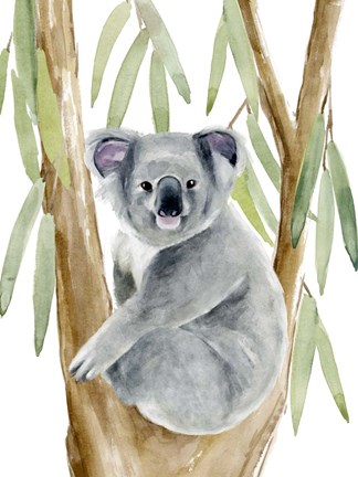 Framed Woodland Koala II Print