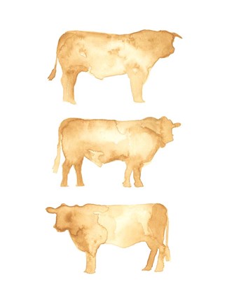 Framed Hereford Trio II Print