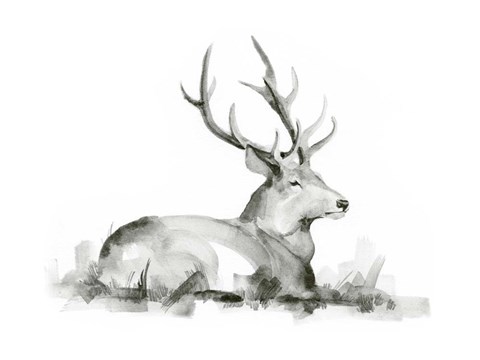 Framed Recumbent Stag I Print