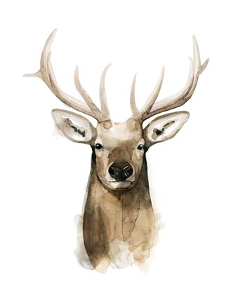 Framed Watercolor Elk Portrait I Print