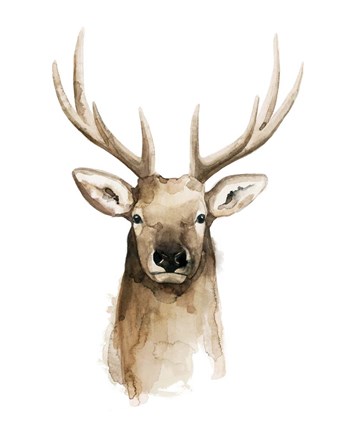 Framed Watercolor Elk Portrait II Print