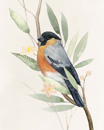 Framed Tree Toppers I Print