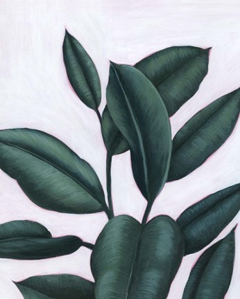 Framed Verdant Ficus I Print