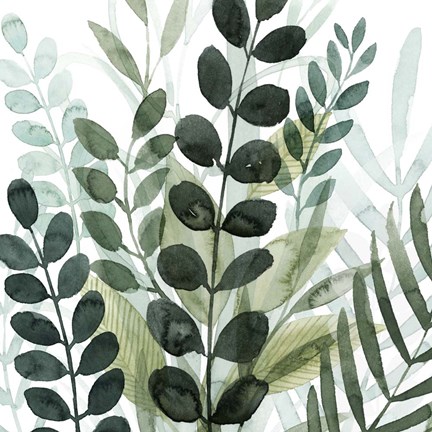 Framed Forest Forage IV Print