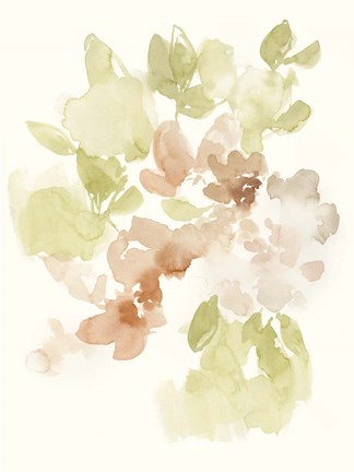 Framed Softest Petals I Print