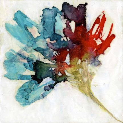 Framed Splashed Flower II Print