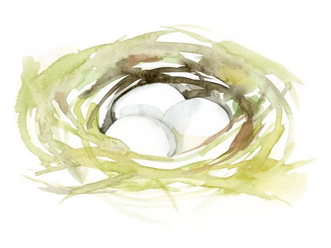 Framed Watercolor Nest II Print