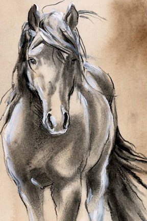 Framed Sketched Horse II Print