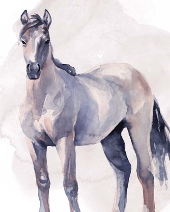 Framed Horse in Watercolor II Print