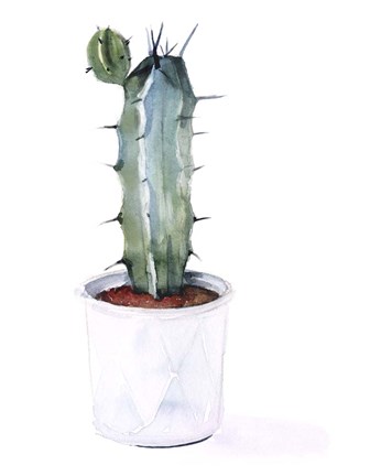 Framed Sharp Succulents I Print