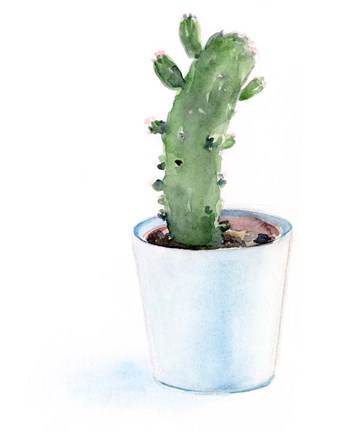 Framed Sharp Succulents II Print