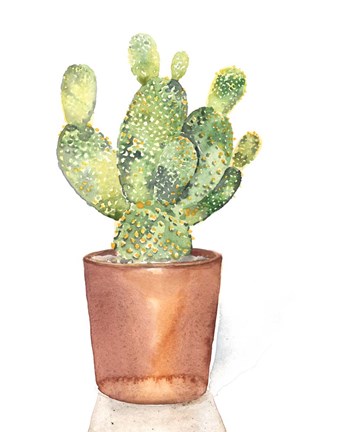 Framed Sharp Succulents IV Print