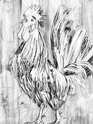 Framed Barnwood Flock II Print