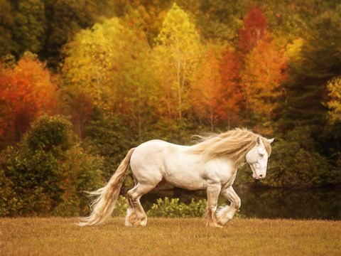 Framed Golden Lit Horse VI Print