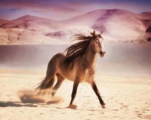 Framed Running in the Sand II Print