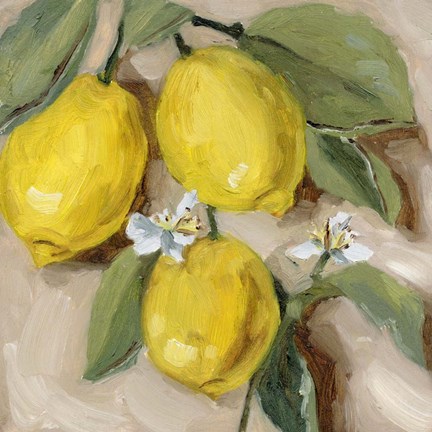 Framed With the Sun I Print