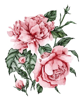 Framed Roses are Red II Print