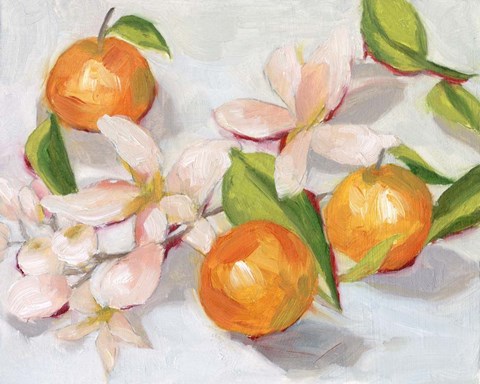 Framed Tangerine Blossoms II Print