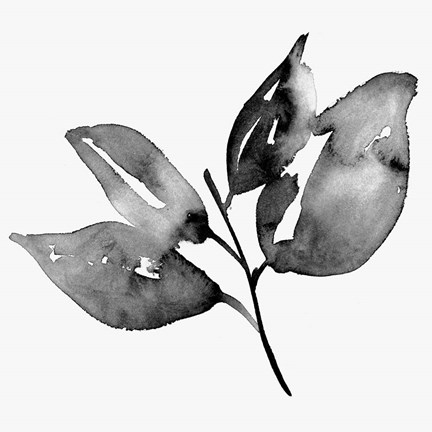 Framed Feuille I Print