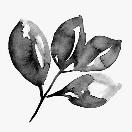 Framed Feuille II Print