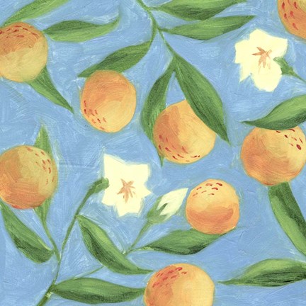 Framed Sweet Tangerine I Print