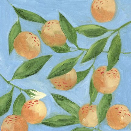 Framed Sweet Tangerine II Print