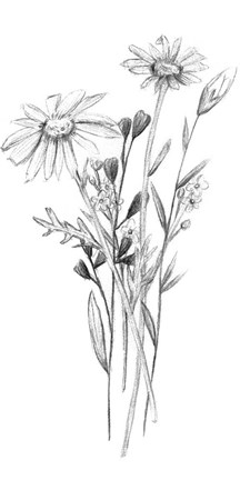 Framed Hiding II Print