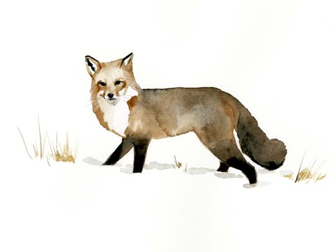 Framed Winter Fox II Print