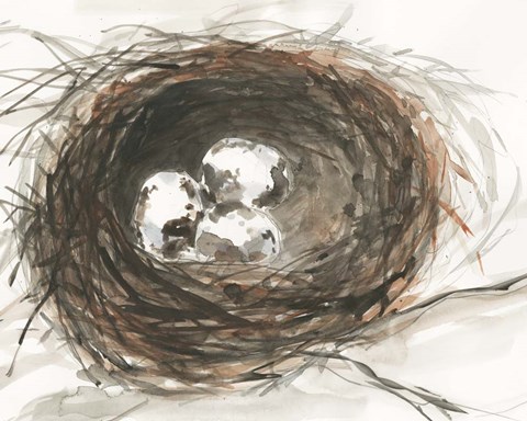 Framed Nesting Eggs III Print