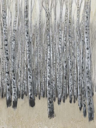 Framed Neutral Aspen II Print