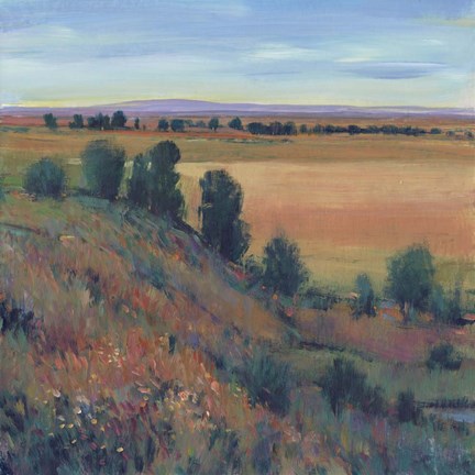 Framed Hilltop View I Print