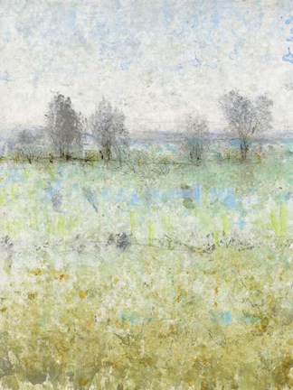 Framed Shedding Light I Print