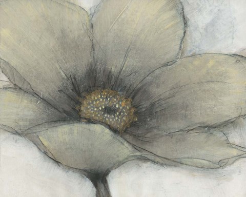 Framed Single Cream Bloom II Print