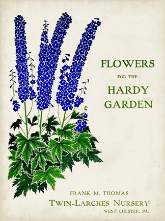 Framed Antique Seed Packets II Print