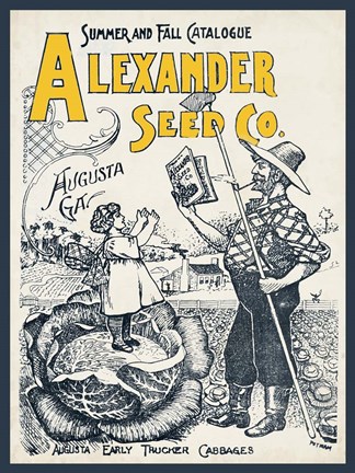 Framed Antique Seed Packets IV Print