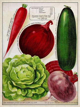 Framed Antique Seed Packets XI Print