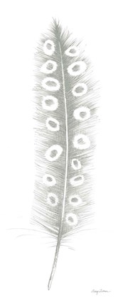 Framed Feather Sketches VII Green Gray Print