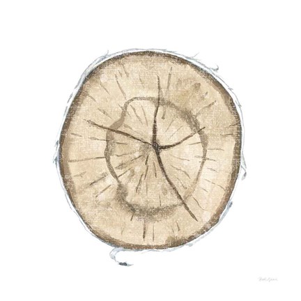 Framed Natures Leaves VII Print