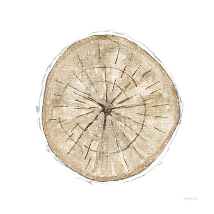 Framed Natures Leaves VI Print